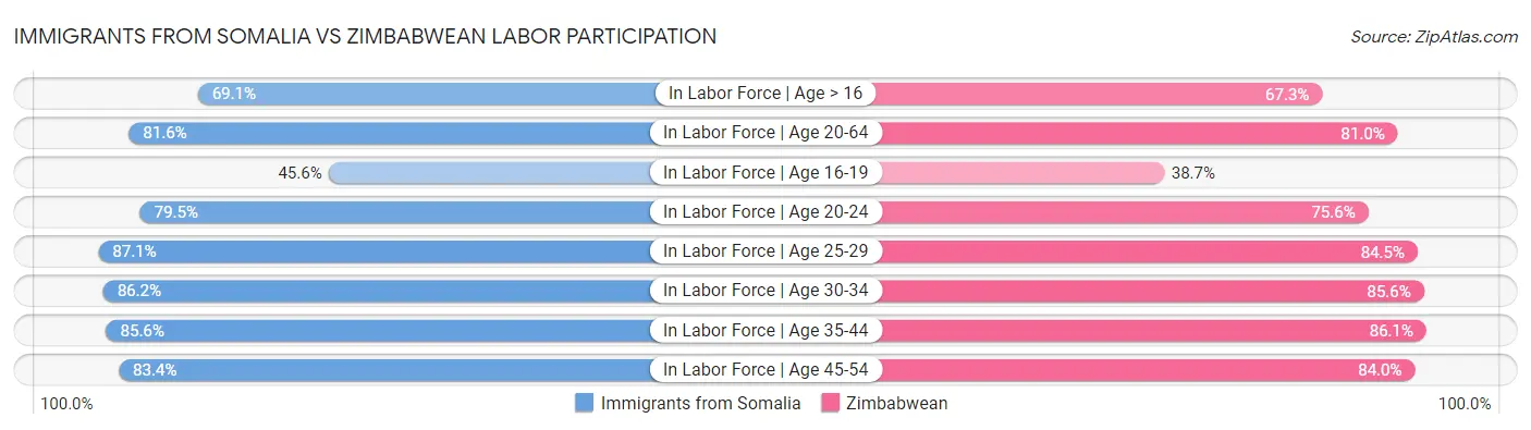 Immigrants from Somalia vs Zimbabwean Labor Participation