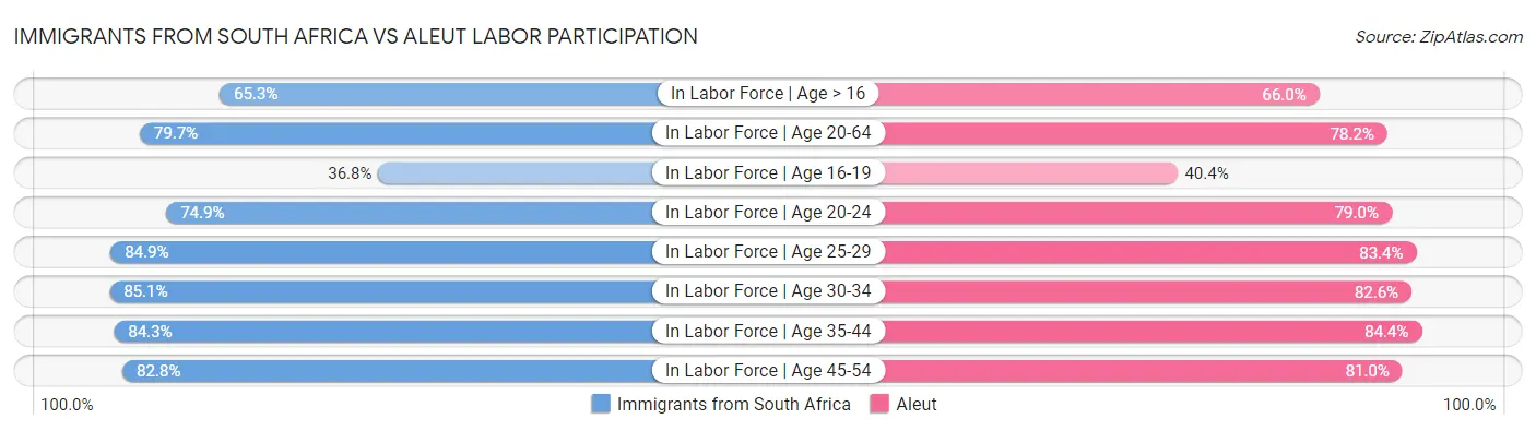 Immigrants from South Africa vs Aleut Labor Participation