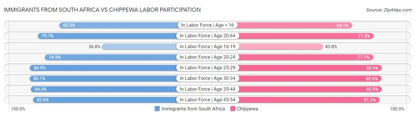 Immigrants from South Africa vs Chippewa Labor Participation