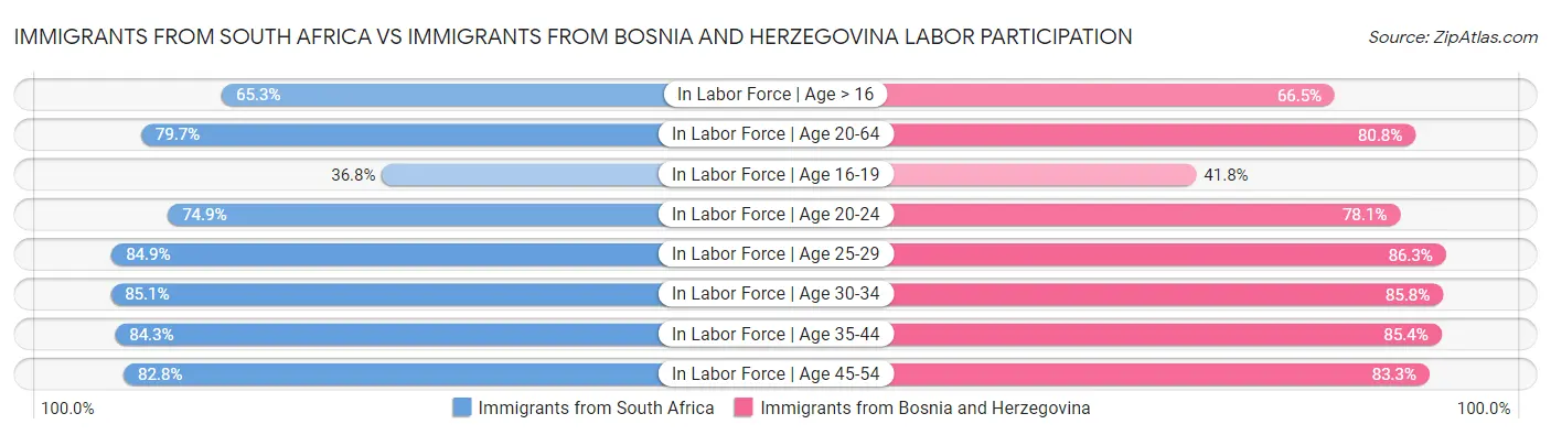 Immigrants from South Africa vs Immigrants from Bosnia and Herzegovina Labor Participation