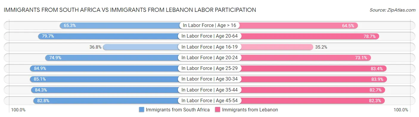 Immigrants from South Africa vs Immigrants from Lebanon Labor Participation