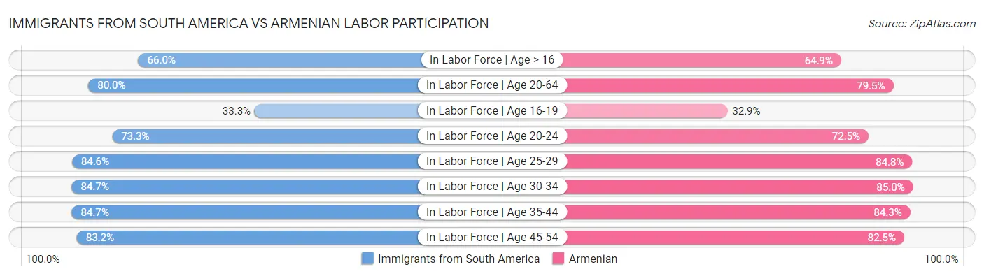 Immigrants from South America vs Armenian Labor Participation