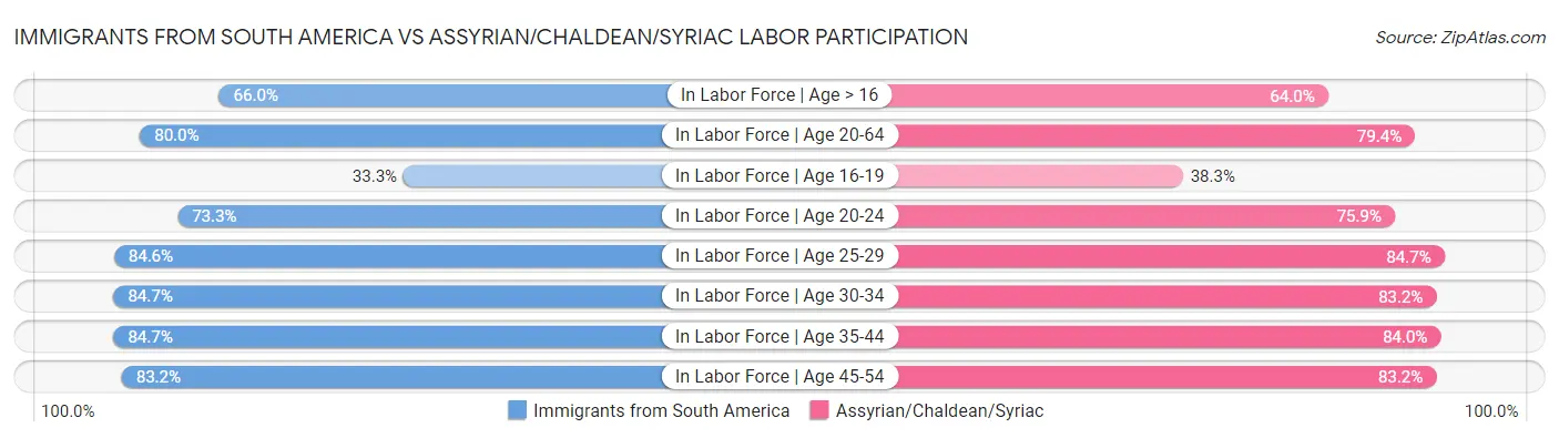 Immigrants from South America vs Assyrian/Chaldean/Syriac Labor Participation