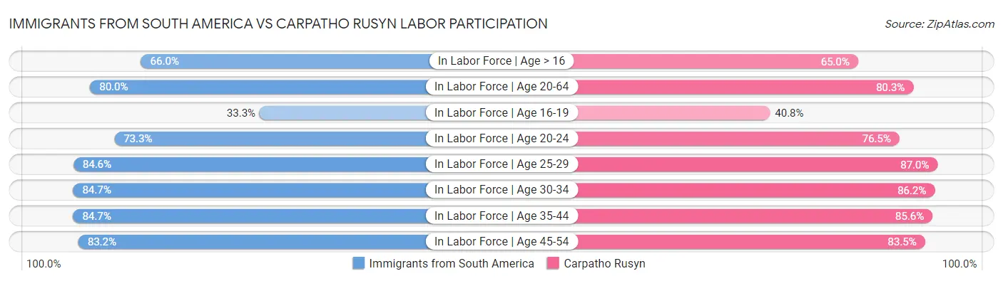 Immigrants from South America vs Carpatho Rusyn Labor Participation