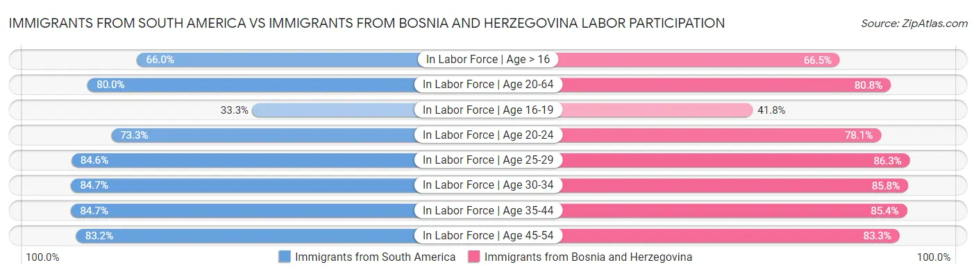 Immigrants from South America vs Immigrants from Bosnia and Herzegovina Labor Participation