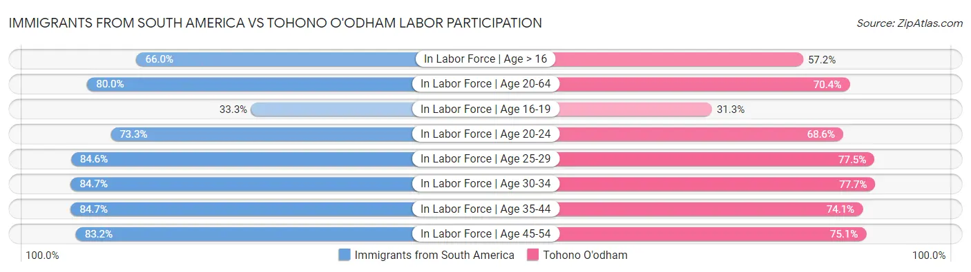 Immigrants from South America vs Tohono O'odham Labor Participation