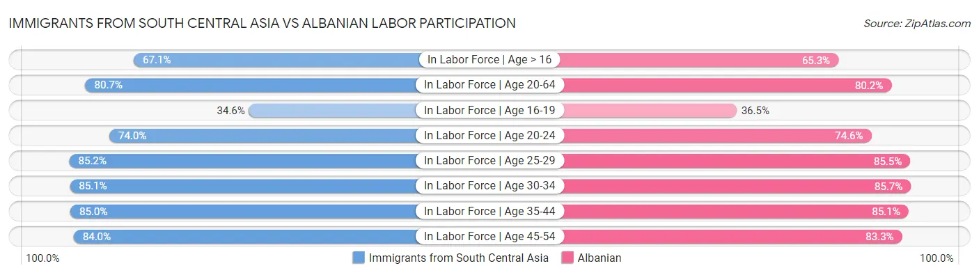 Immigrants from South Central Asia vs Albanian Labor Participation