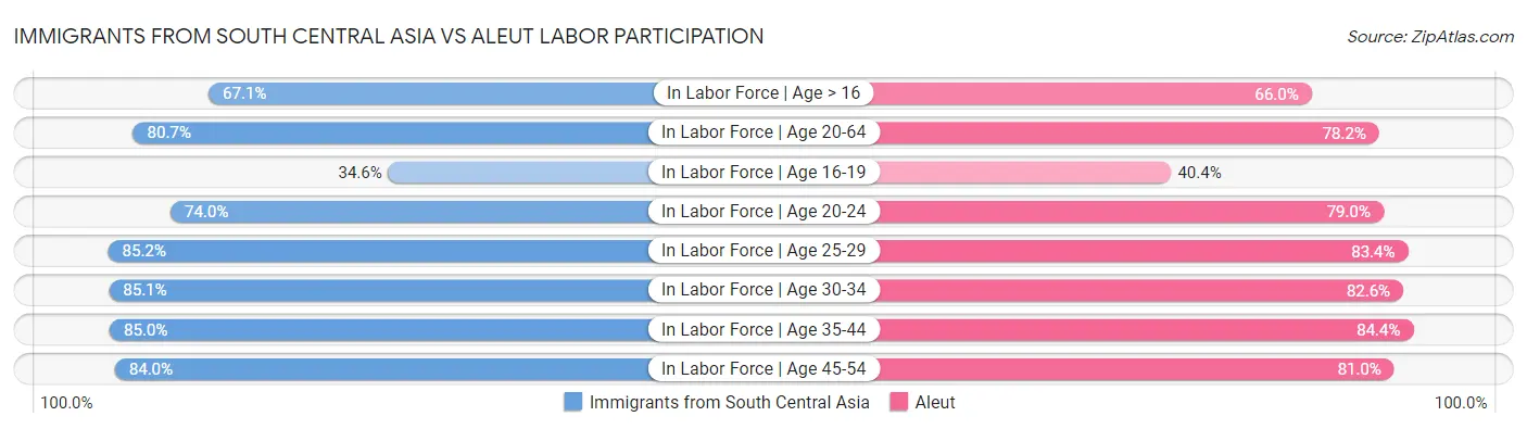 Immigrants from South Central Asia vs Aleut Labor Participation