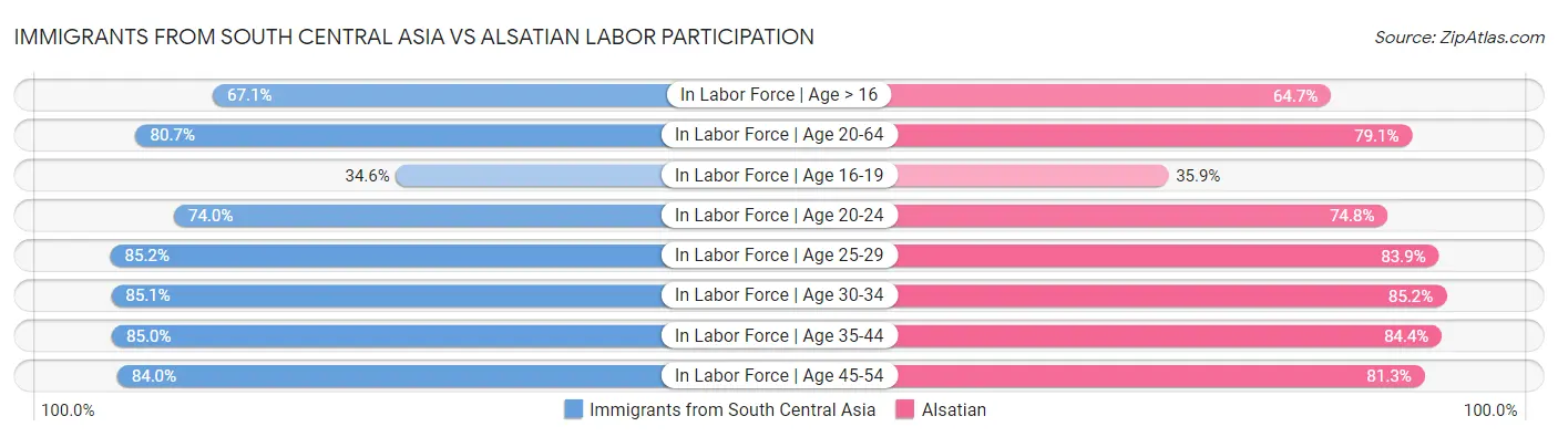 Immigrants from South Central Asia vs Alsatian Labor Participation