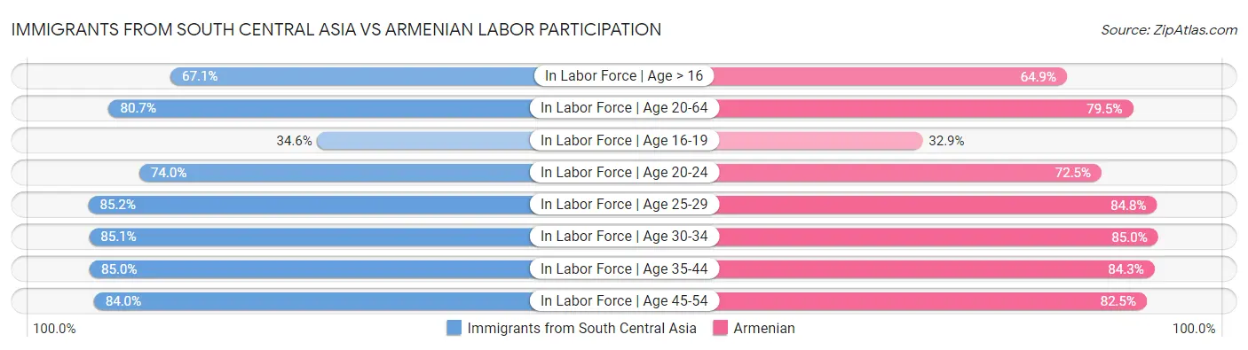 Immigrants from South Central Asia vs Armenian Labor Participation