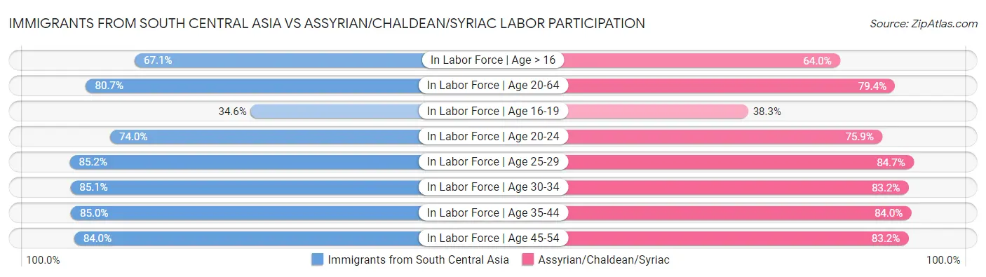 Immigrants from South Central Asia vs Assyrian/Chaldean/Syriac Labor Participation