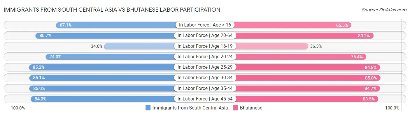 Immigrants from South Central Asia vs Bhutanese Labor Participation