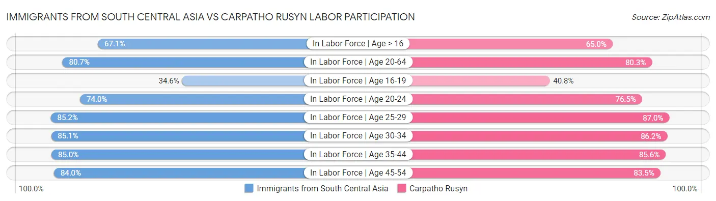 Immigrants from South Central Asia vs Carpatho Rusyn Labor Participation