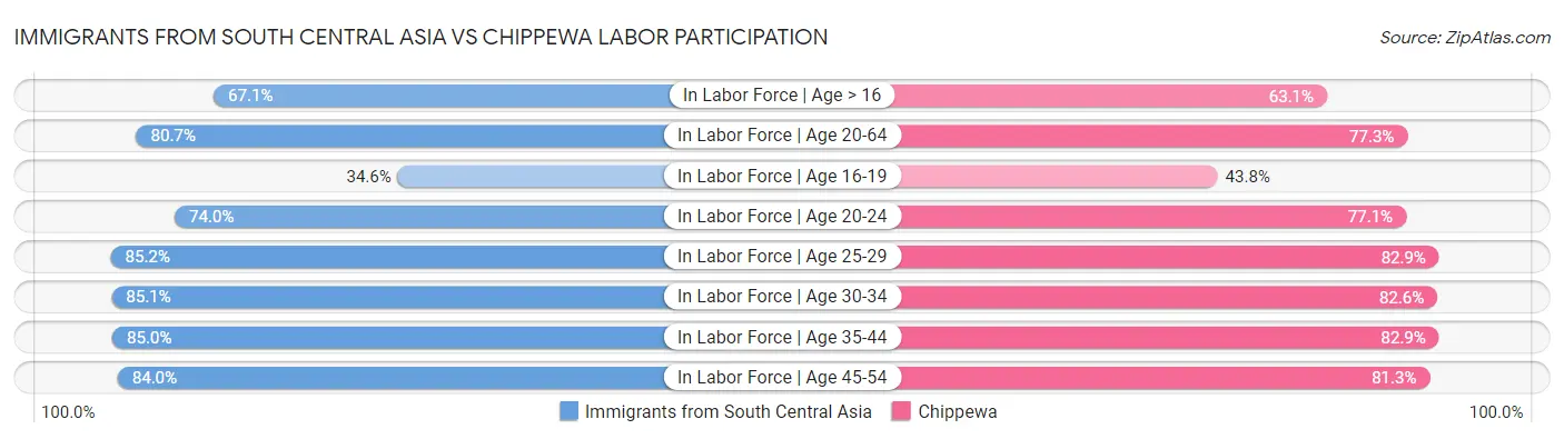 Immigrants from South Central Asia vs Chippewa Labor Participation