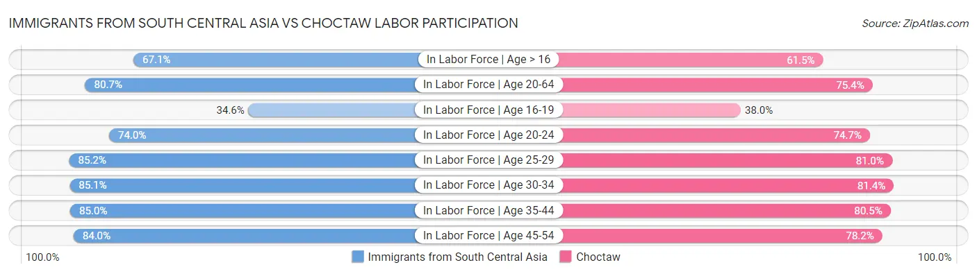Immigrants from South Central Asia vs Choctaw Labor Participation