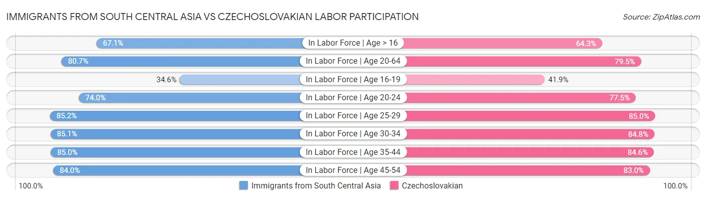 Immigrants from South Central Asia vs Czechoslovakian Labor Participation