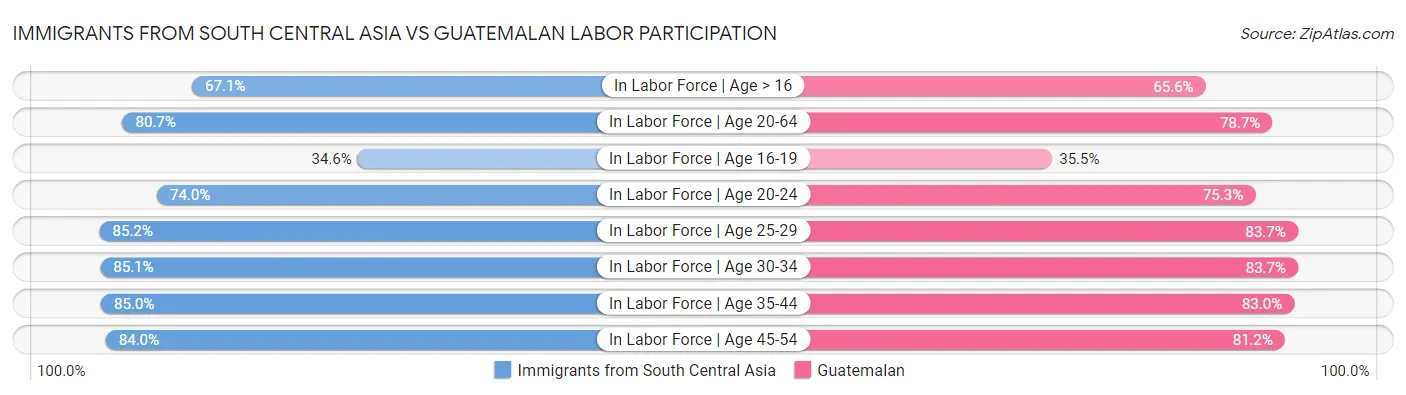 Immigrants from South Central Asia vs Guatemalan Labor Participation