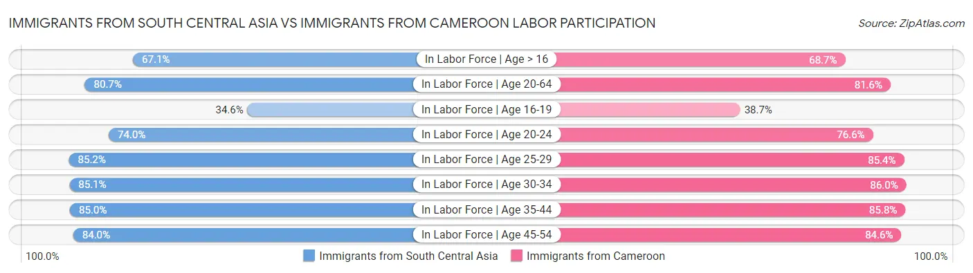 Immigrants from South Central Asia vs Immigrants from Cameroon Labor Participation