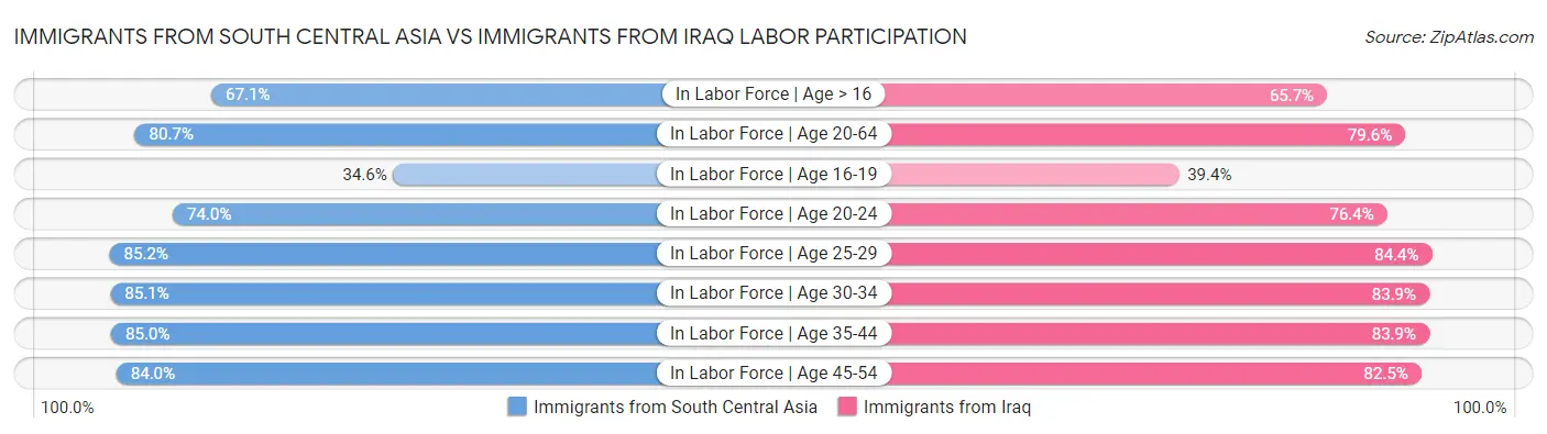 Immigrants from South Central Asia vs Immigrants from Iraq Labor Participation