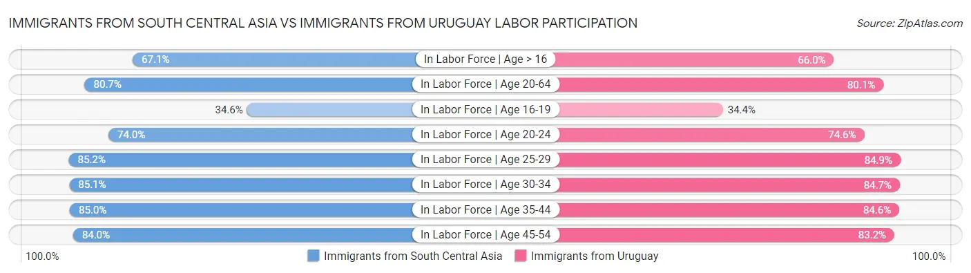 Immigrants from South Central Asia vs Immigrants from Uruguay Labor Participation