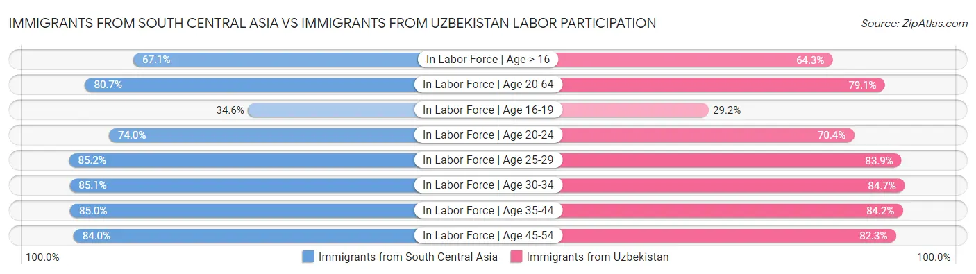 Immigrants from South Central Asia vs Immigrants from Uzbekistan Labor Participation