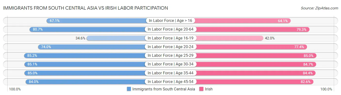Immigrants from South Central Asia vs Irish Labor Participation