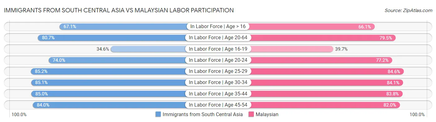Immigrants from South Central Asia vs Malaysian Labor Participation