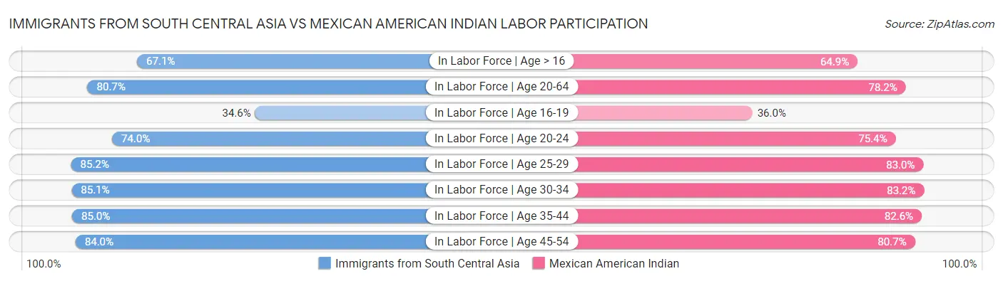 Immigrants from South Central Asia vs Mexican American Indian Labor Participation