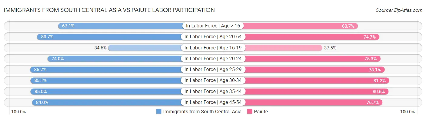 Immigrants from South Central Asia vs Paiute Labor Participation