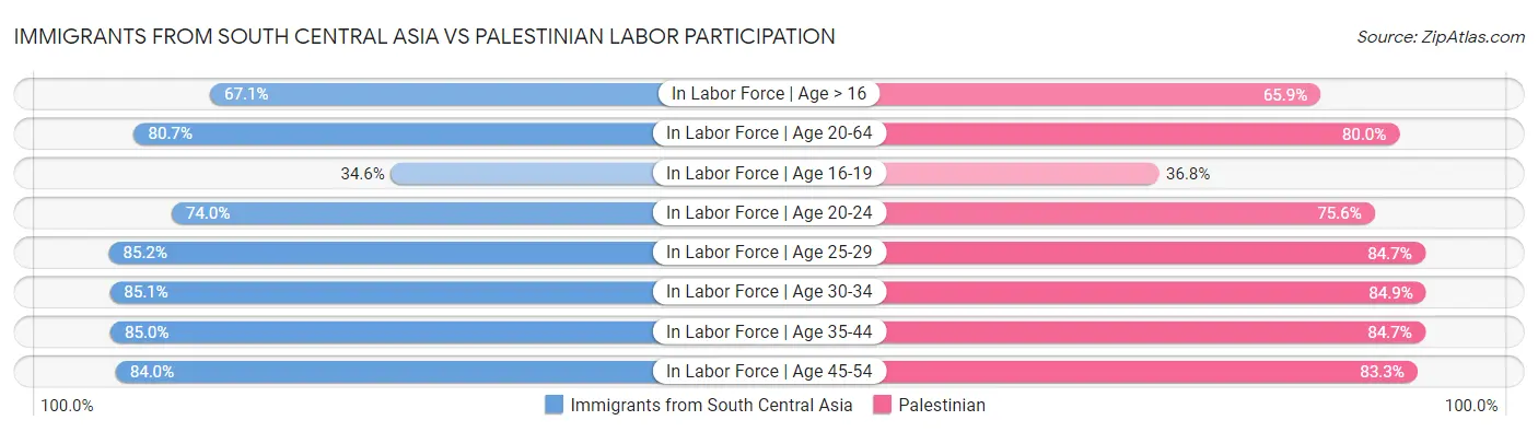 Immigrants from South Central Asia vs Palestinian Labor Participation