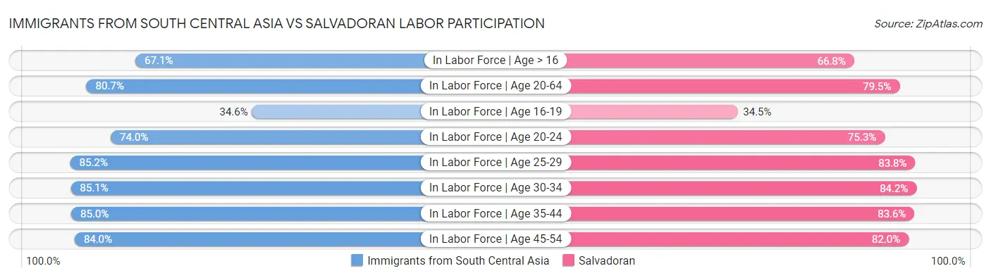 Immigrants from South Central Asia vs Salvadoran Labor Participation