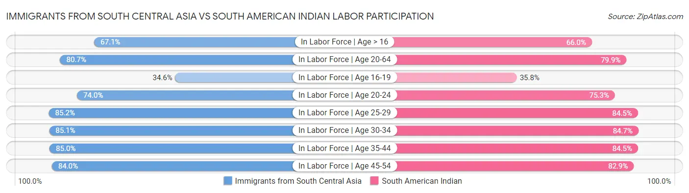 Immigrants from South Central Asia vs South American Indian Labor Participation