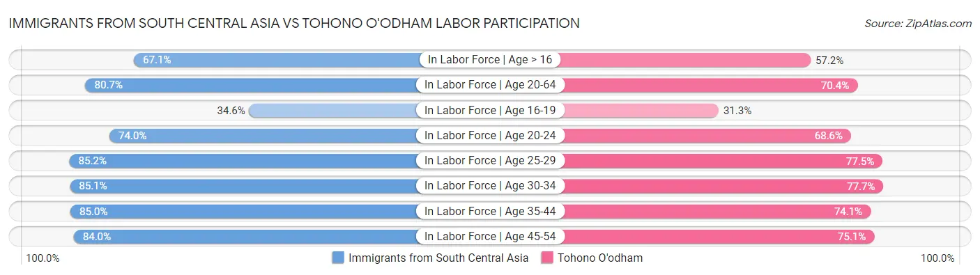 Immigrants from South Central Asia vs Tohono O'odham Labor Participation