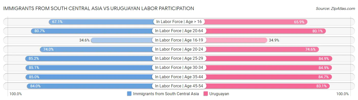 Immigrants from South Central Asia vs Uruguayan Labor Participation