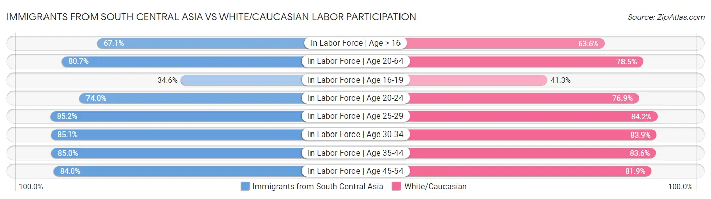 Immigrants from South Central Asia vs White/Caucasian Labor Participation
