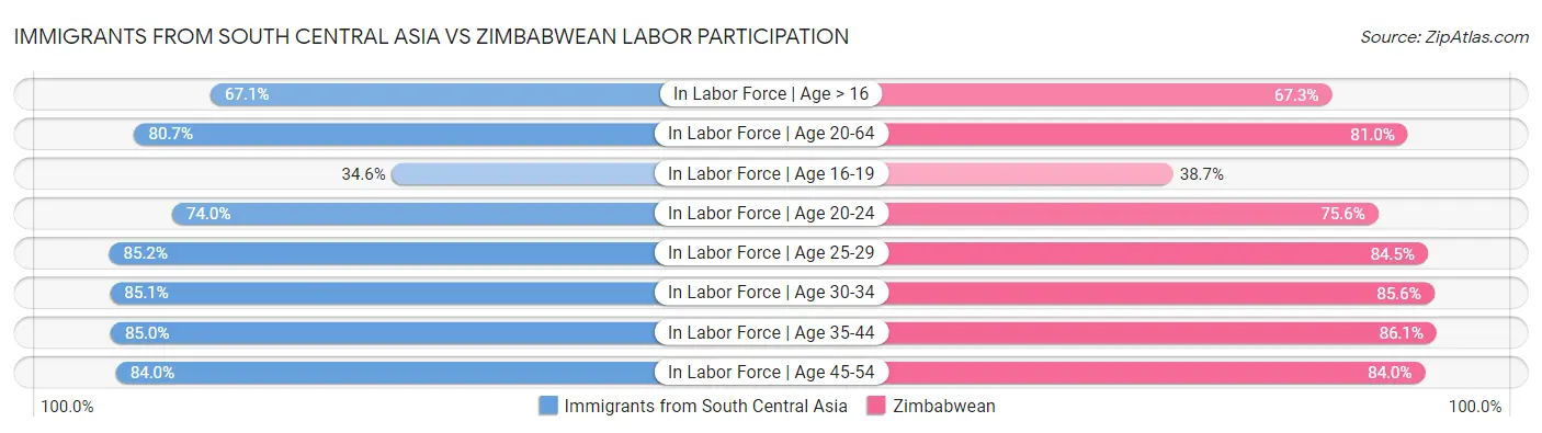 Immigrants from South Central Asia vs Zimbabwean Labor Participation