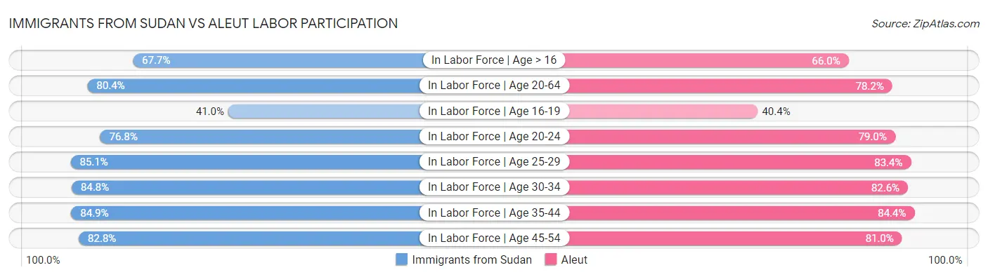 Immigrants from Sudan vs Aleut Labor Participation