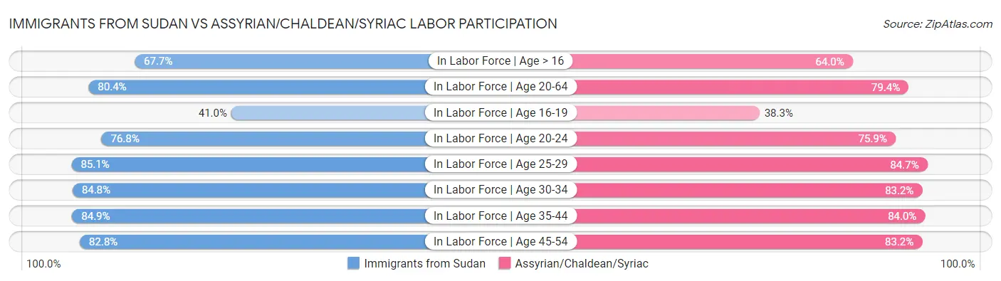 Immigrants from Sudan vs Assyrian/Chaldean/Syriac Labor Participation