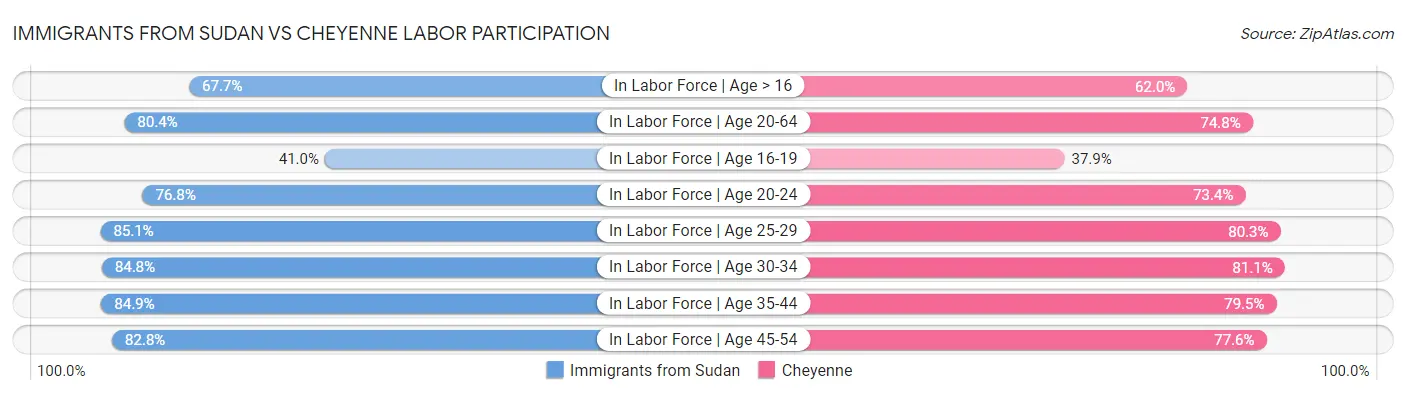 Immigrants from Sudan vs Cheyenne Labor Participation
