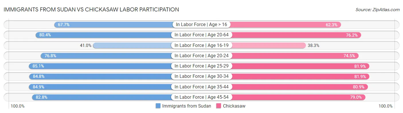 Immigrants from Sudan vs Chickasaw Labor Participation
