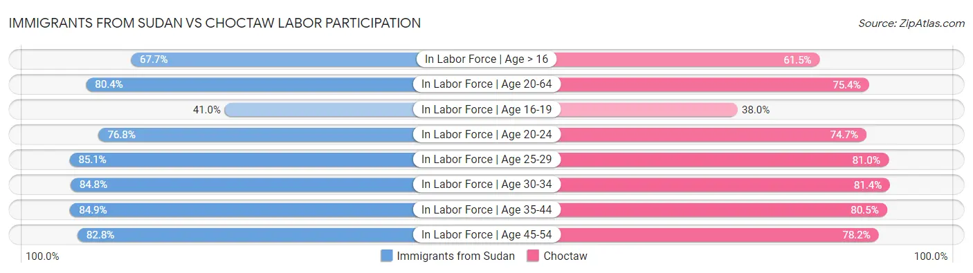 Immigrants from Sudan vs Choctaw Labor Participation