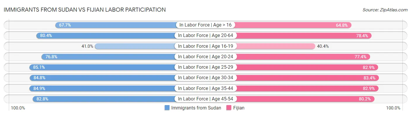 Immigrants from Sudan vs Fijian Labor Participation