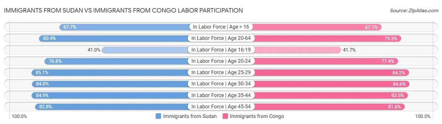 Immigrants from Sudan vs Immigrants from Congo Labor Participation