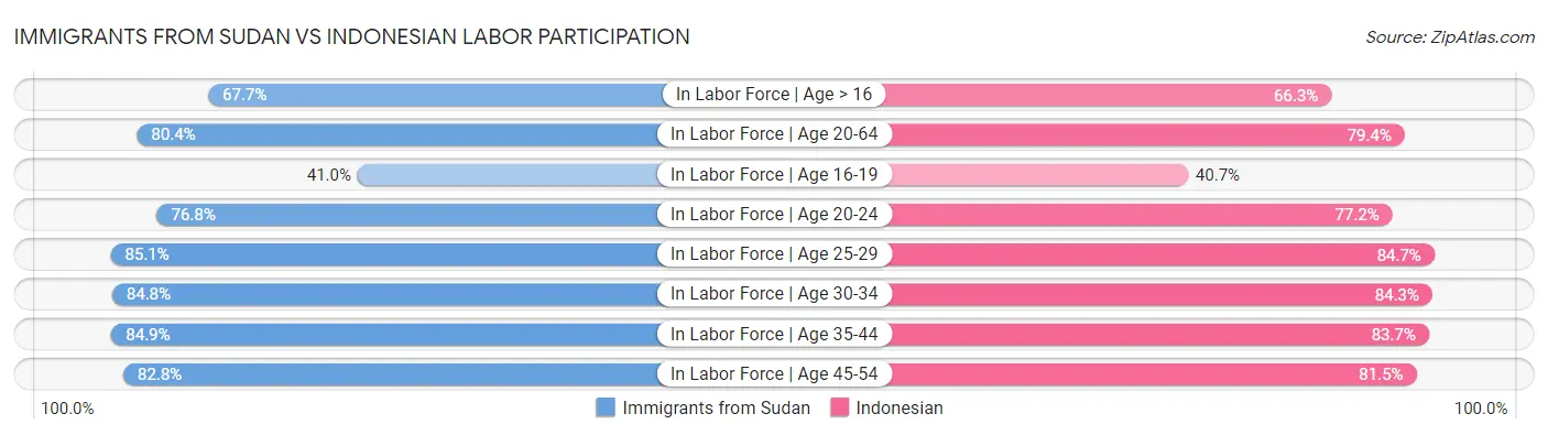 Immigrants from Sudan vs Indonesian Labor Participation