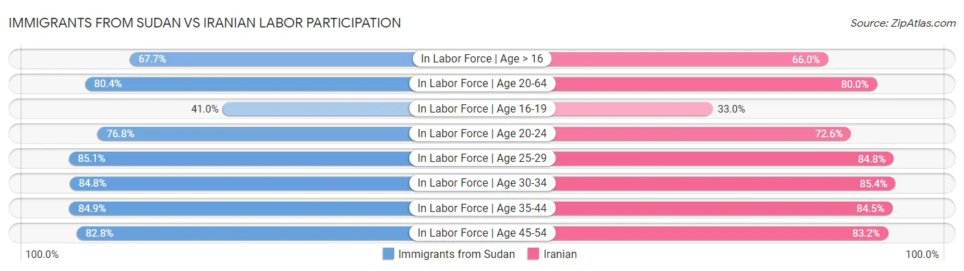 Immigrants from Sudan vs Iranian Labor Participation