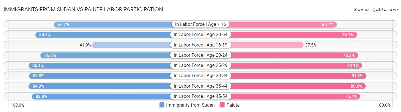 Immigrants from Sudan vs Paiute Labor Participation