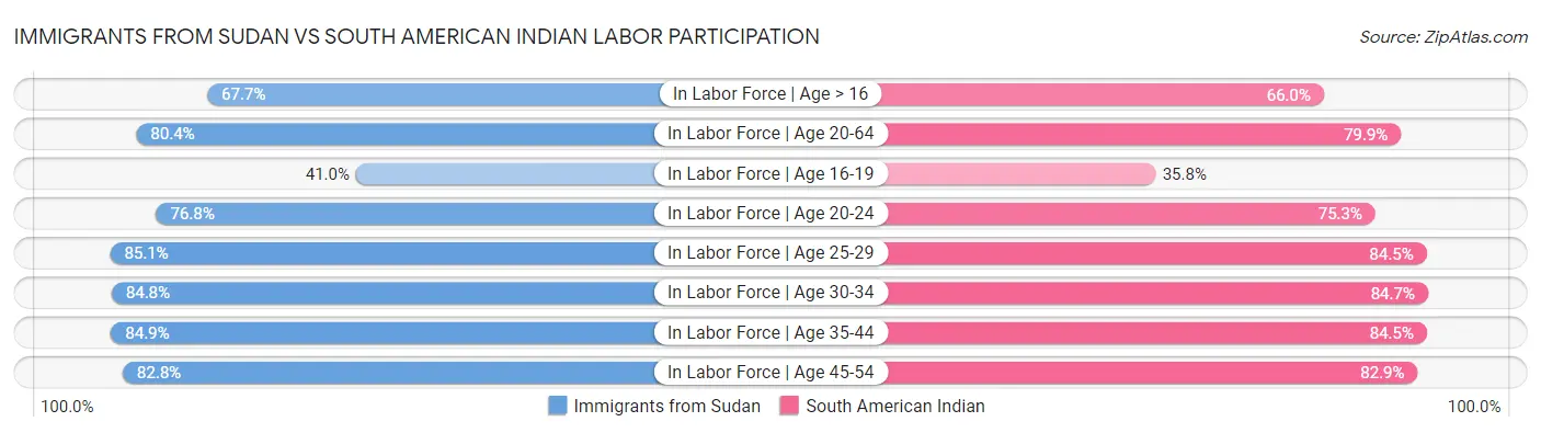 Immigrants from Sudan vs South American Indian Labor Participation