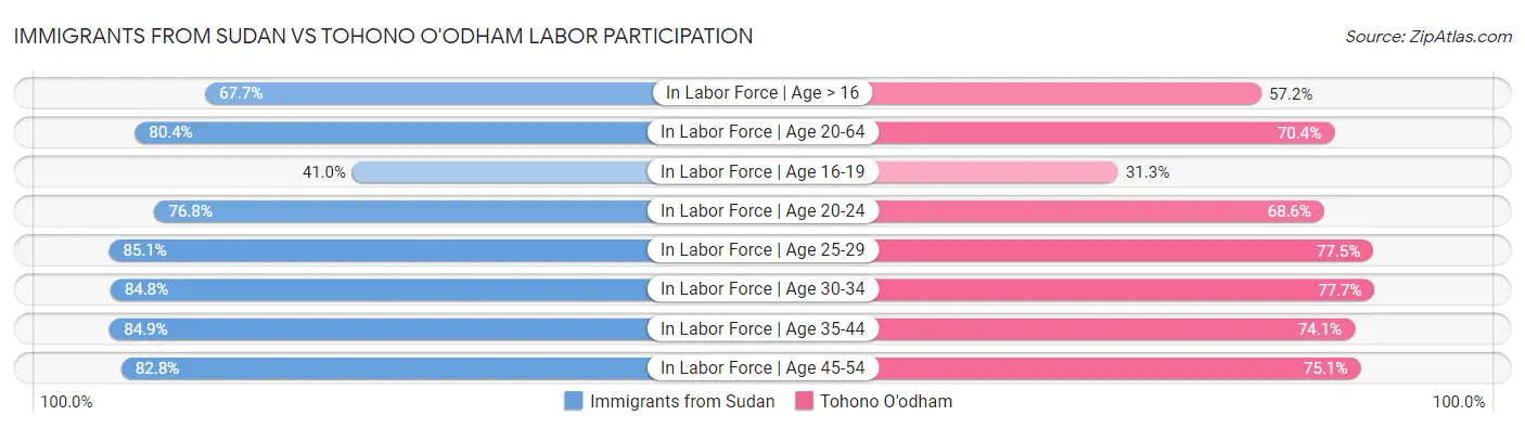 Immigrants from Sudan vs Tohono O'odham Labor Participation