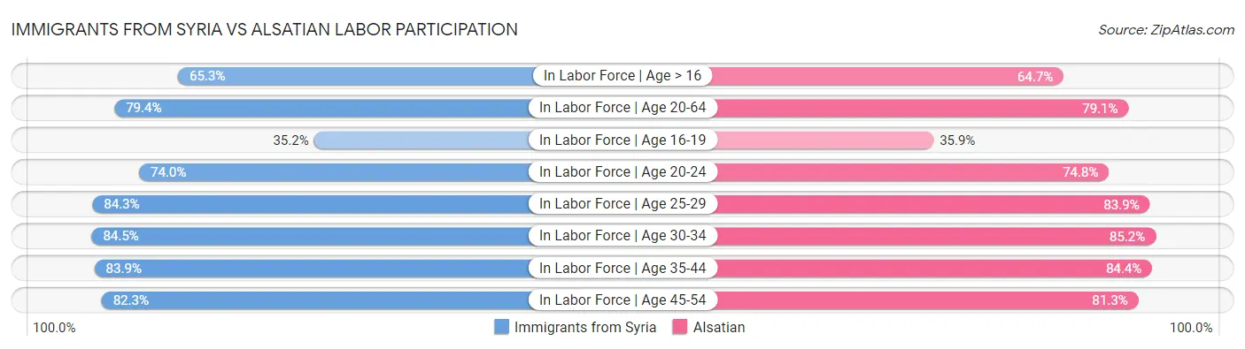Immigrants from Syria vs Alsatian Labor Participation