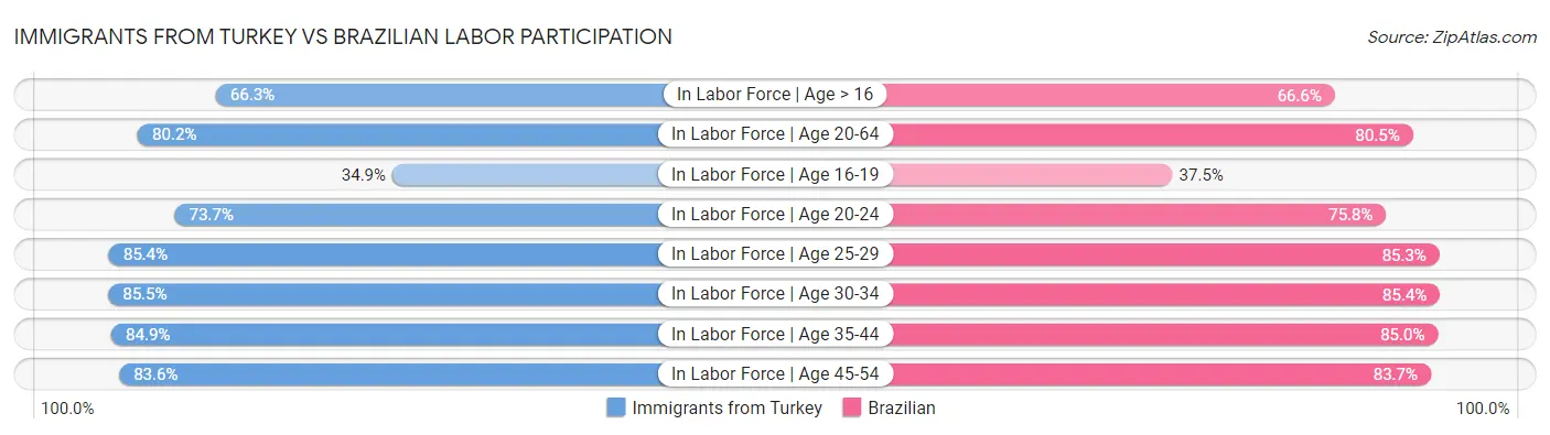 Immigrants from Turkey vs Brazilian Labor Participation